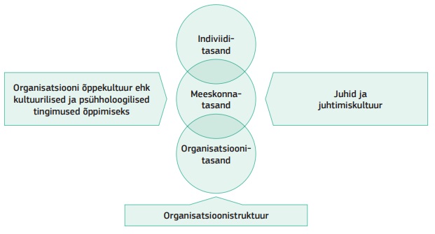 Organisatsiooni õppimise skeem.