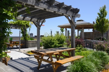 Office roof garden