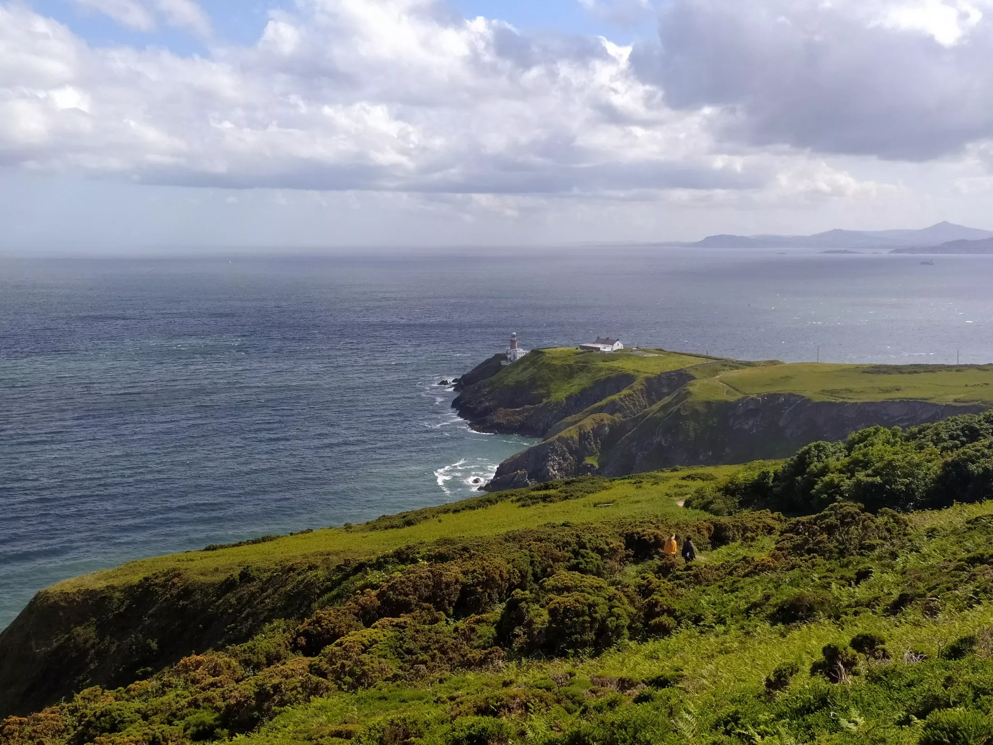Vihreää maisemaa merenrannalla Irlannissa.