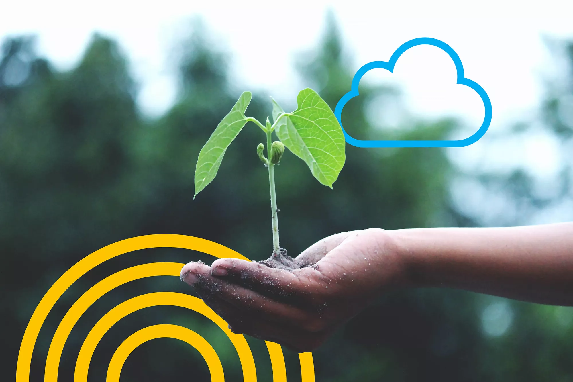 Soppi image of hand growing a plant.
