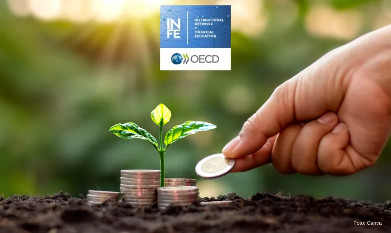 Slika z logotipom OECD/INFE.