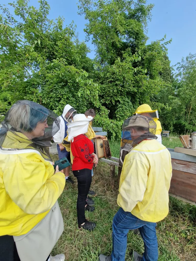 Beekeepers in Udine.