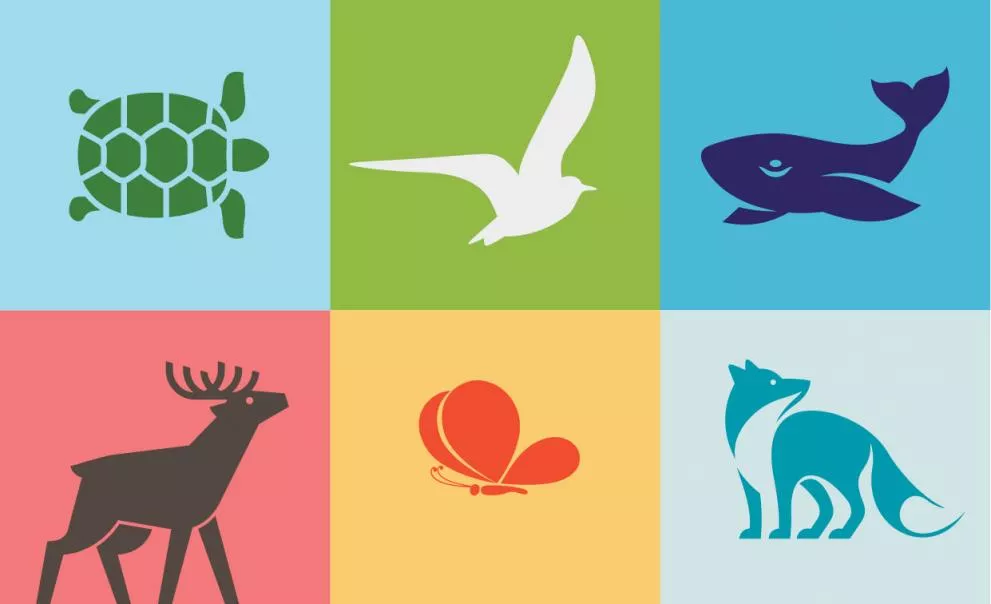 Natura toolkit.