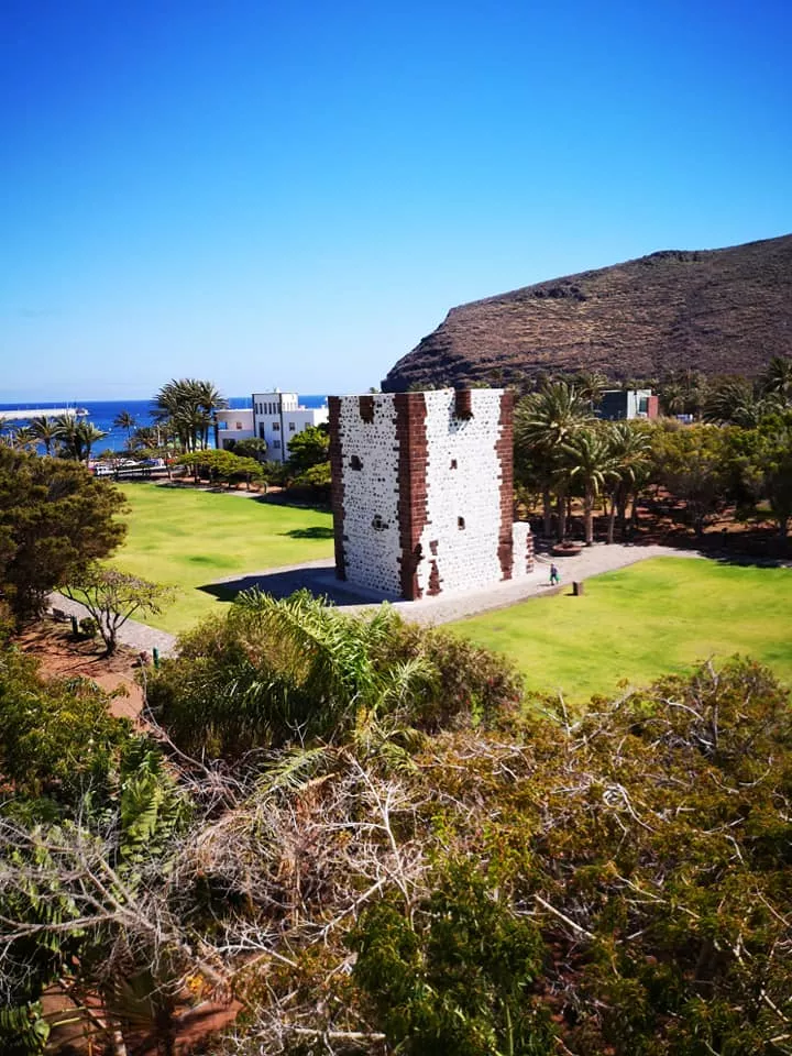 PROYECTO PATRIMONIO.