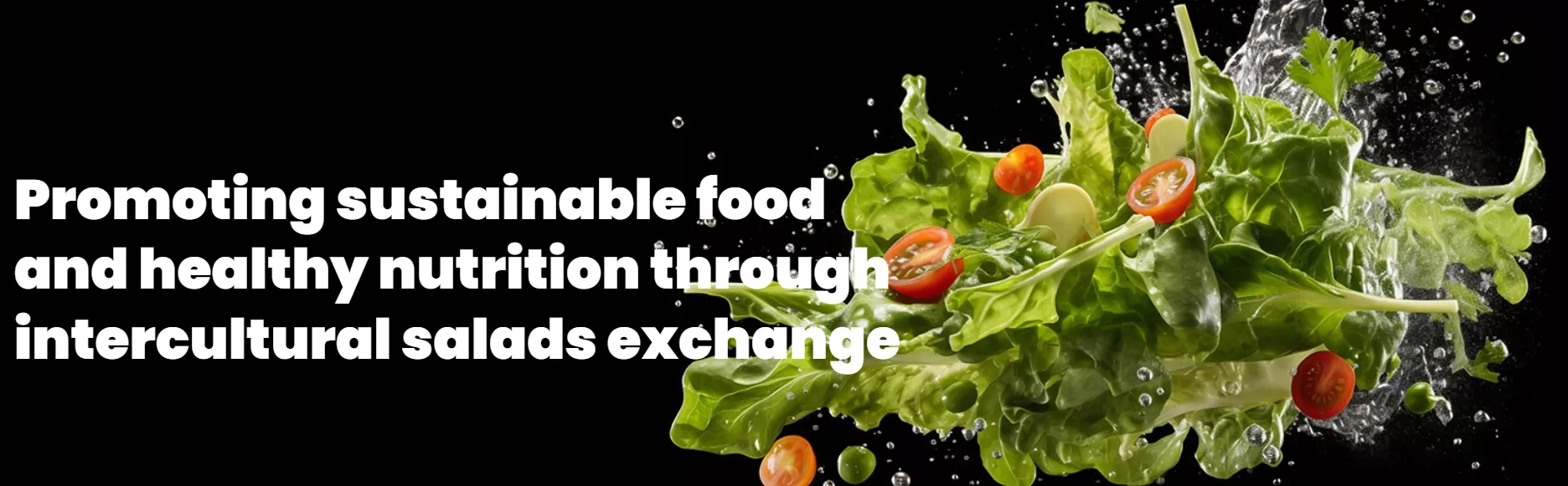In Salads progetto Erasmus+.
