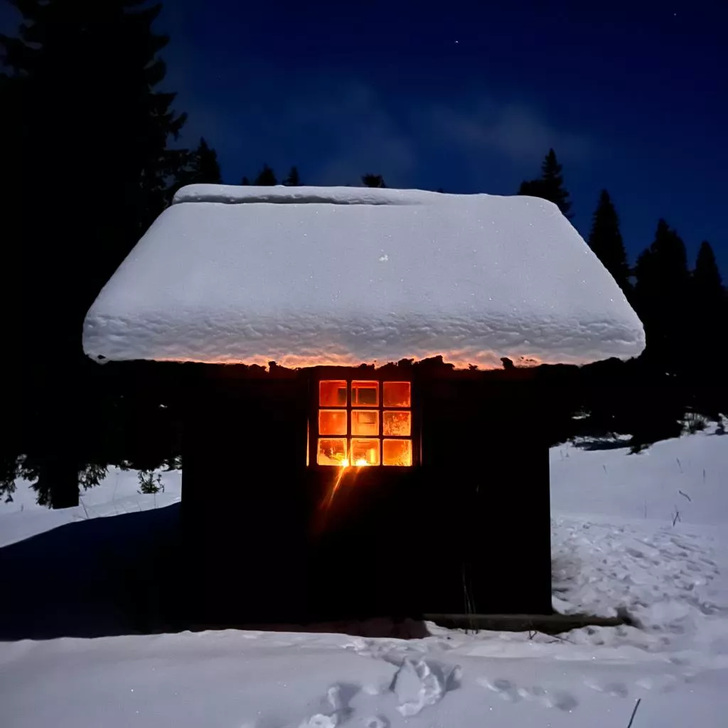 cabane.