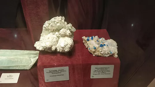 A picture from MTA Sehit Cuma DAG Natural History Museum A picture from MTA Sehit Cuma DAG Natural History Museum .