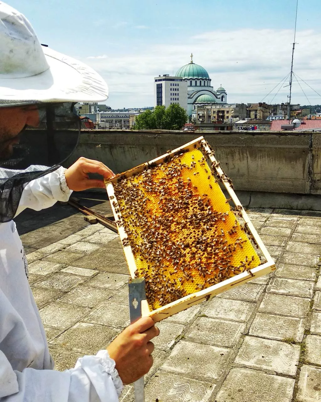 Belgrade_urban_beekeeper