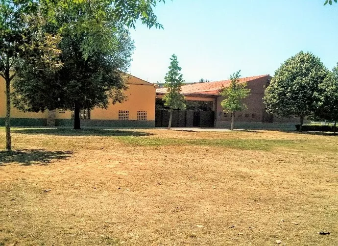 Cfabona