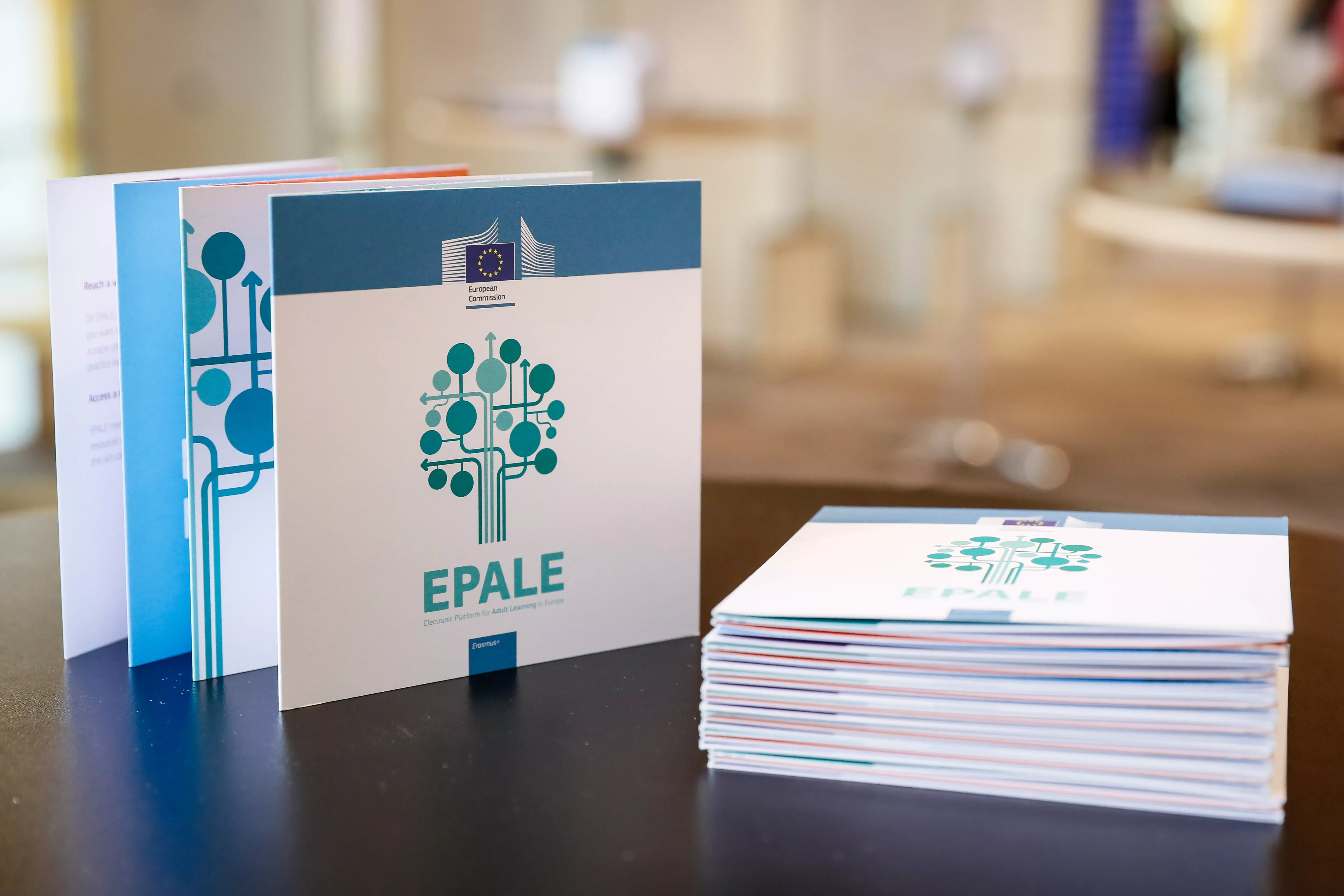 Epale_2_6