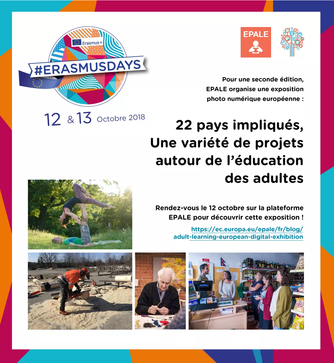 Exposition_numerique-modifs_fr_4