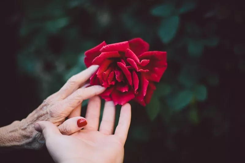 Jake-thacker-i63yzy3s9ns-unsplash