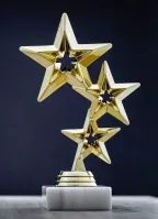 Star trophy .