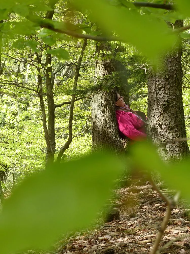 Waldbaden-Kurs mit Annette Bernjus Waldbaden.