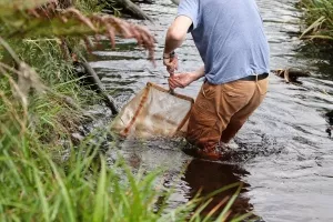 Clearing a river Clearing a river.