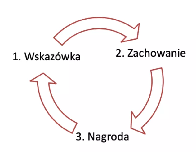 Wskazowka