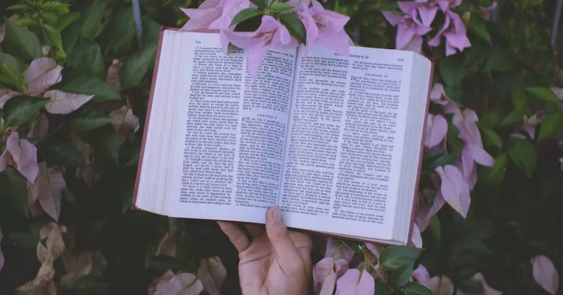 foto con libro e fiori.
