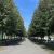 Muenster Promenade.