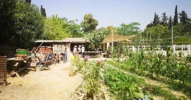Gartenpolylog Garten.