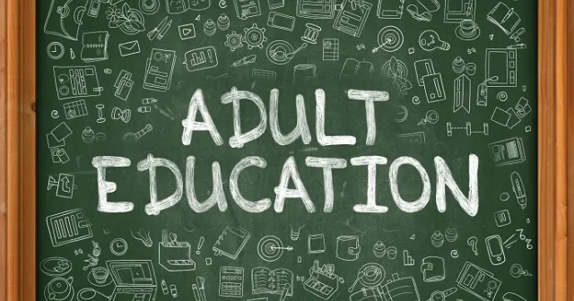 Strengthening the Capacity of Adult Education: A Path to Lifelong Learning Excellence.