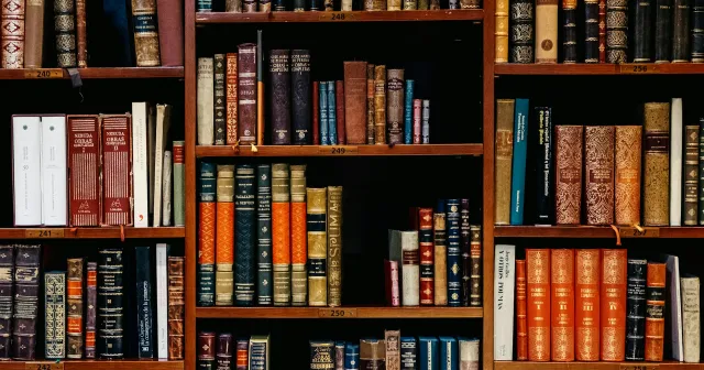 Books on a shelf.