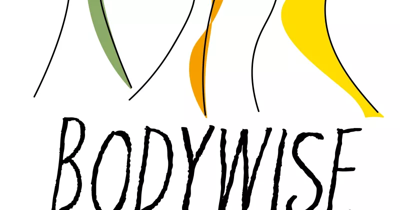 Bodywise wise bodies logo - three colourful stickfigures and the words bodywise, wise bodies writ...