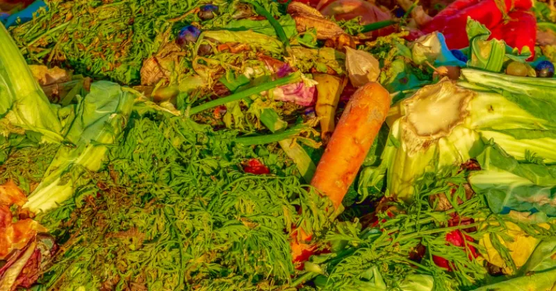 picture_food_waste_EPALE.