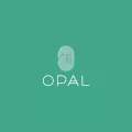OPAL Teacher Training Logo, a fingerprint visual with the word OPAL written below, both in white ...