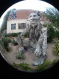 Sabino: An endangered specie from the region Our school.