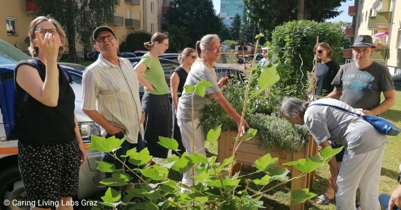 Eight people are standing around garden beds