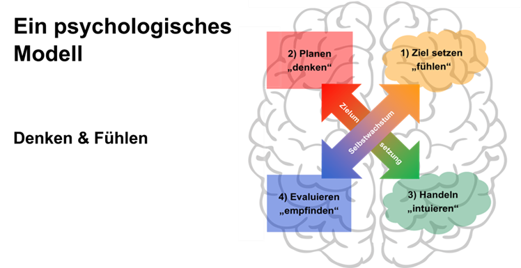 Psychological model: Thinking and Feeling
